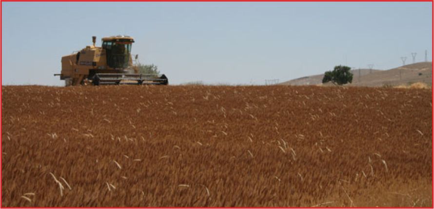 ÇİFTÇİLERE MAZOT, GÜBRE VE TOPRAK ANALİZ DESTEĞİ