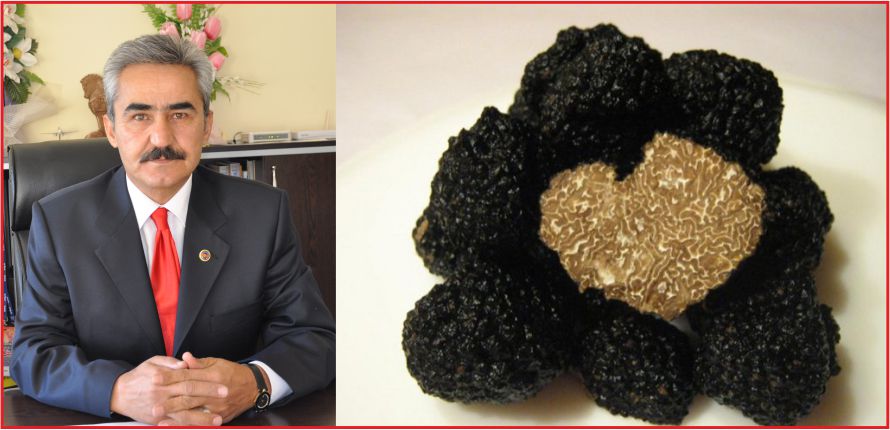 “TRÜF MANTARI İÇİN PİLOT BÖLGEYE TALİBİZ”