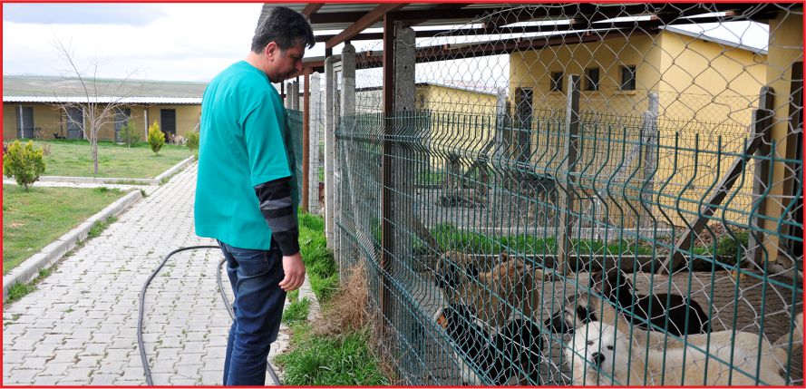 “HER CANLI BİZİM İÇİN DEĞERLEDİR”