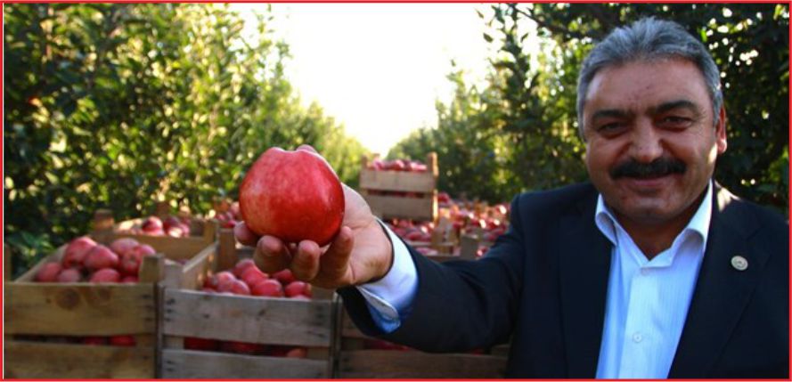 “ELMA SOĞUK HAVADA KALDI”