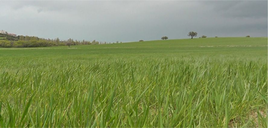 TARIM TOPLANTISI ERTELENDİ