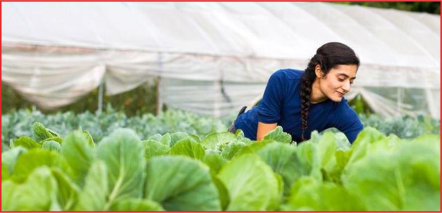 GENÇ ÇİFTÇİLERE 30 BİN TL HİBE VERİLECEK