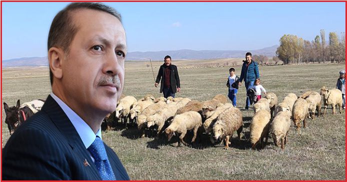 “300 KOYUN KREDİSİ 7 YILDA ÖDENECEK”