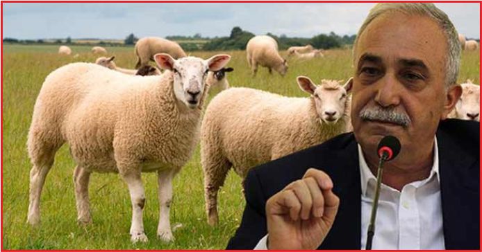 "300 KOYUN PROJESİ"NDE BAŞVURULAR BAŞLADI