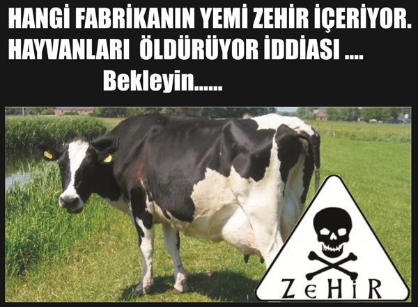 HANGİ FABRİKANIN YEMİ ZEHİR İÇERİYOR!
