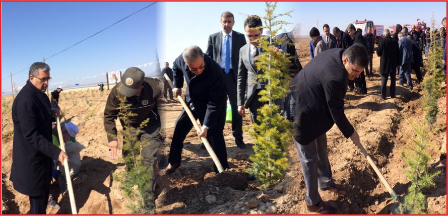 2 BİN FİDAN TOPRAKLA BULUŞTURULDU