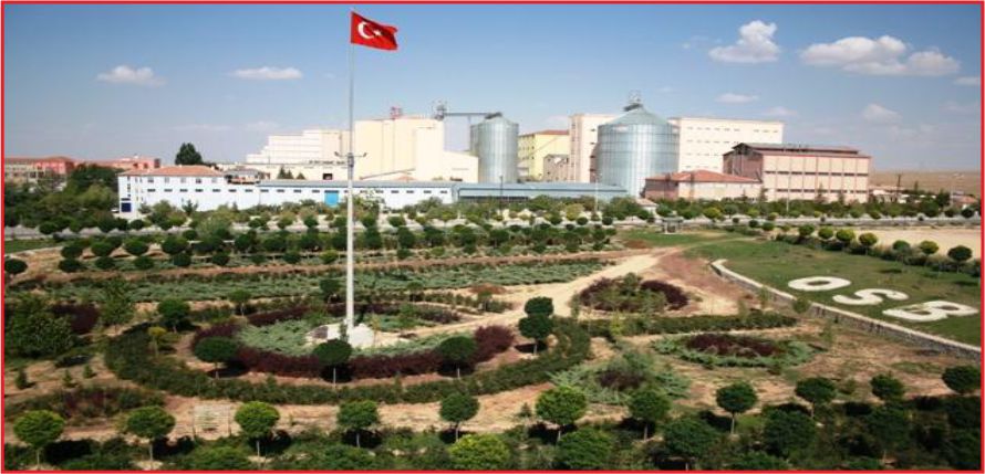 İHRACATIMIZ 30 MİLYON DOLAR !