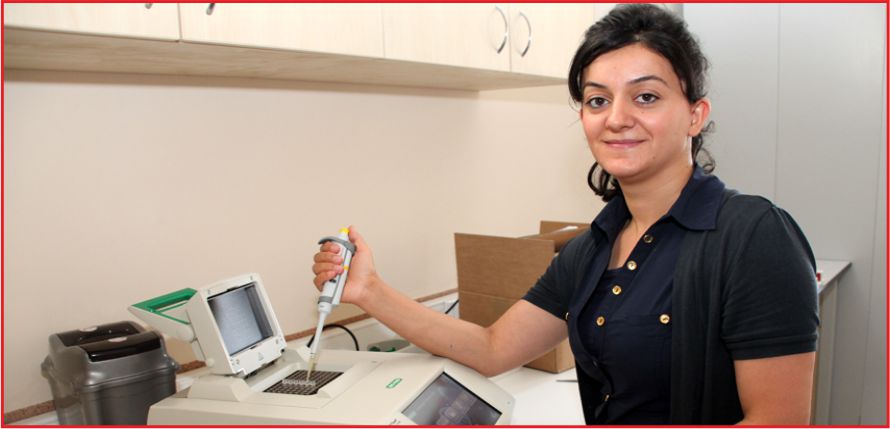 GDO’LU GIDA KAYNIYOR !