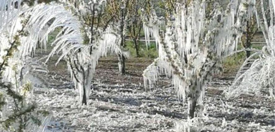 SON TARİH 8 TEMMUZ 2015