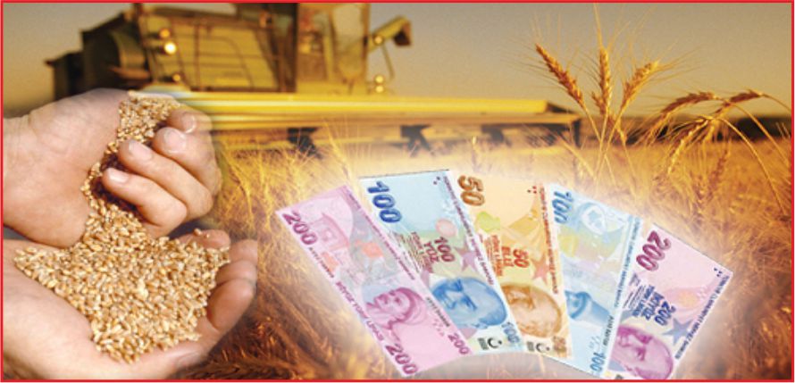 HUBUBAT VE BAKLAGİL İCMALLERİ ASKIDA