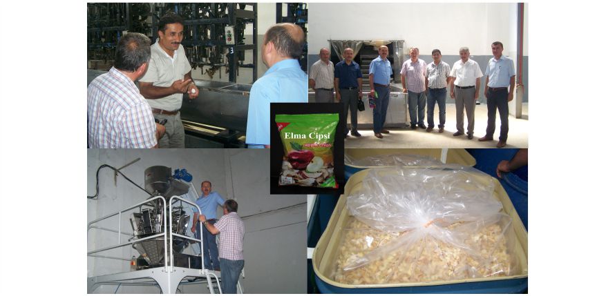 “KARAMAN’A ELMA CİPSİ FABRİKASI”