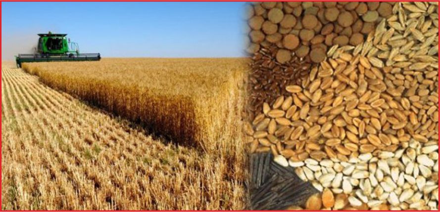 HUBUBAT VE BAKLAGİL FARK ÖDEMESİ DESTEĞİ İCMALLERİ ASKIDA