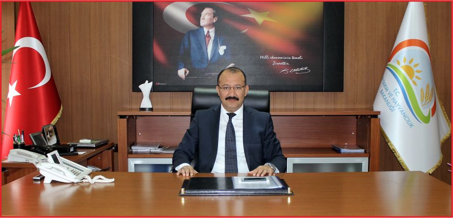 Bitkisel Üretimi Destekleme Ödemeleri