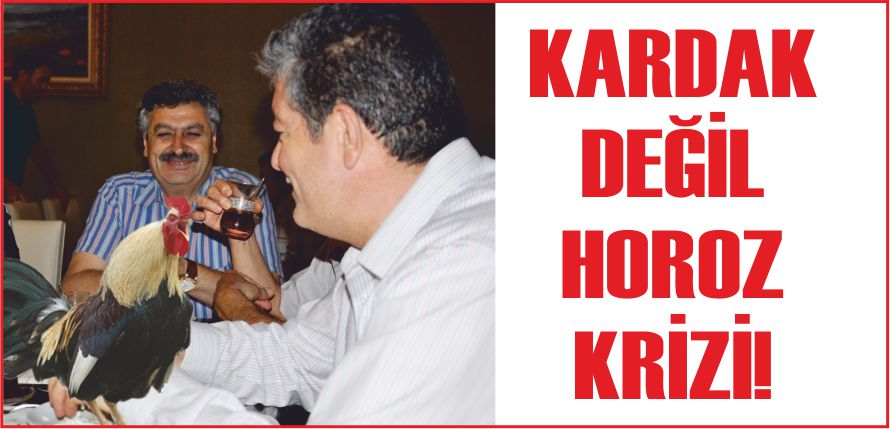 KARDAK DEĞİL HOROZ KRİZİ!