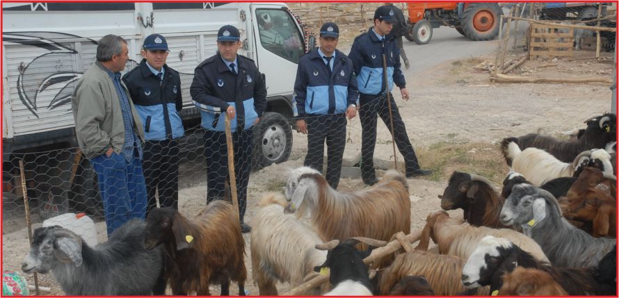 KURBAN SATIŞ VE KESİM YERLERİ BELİRLENDİ