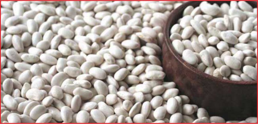 KARAMAN KURUFASÜLYE’DE İKİNCİ