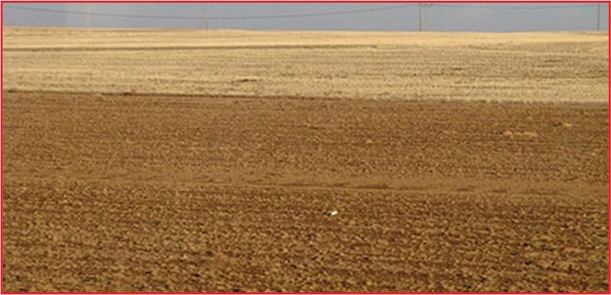 KURAKLIK KOP BÖLGESİNİ TEHDİT EDİYOR!