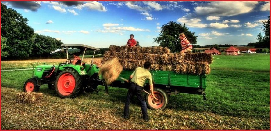 MAZOT DESTEĞİ DEVLETTEN