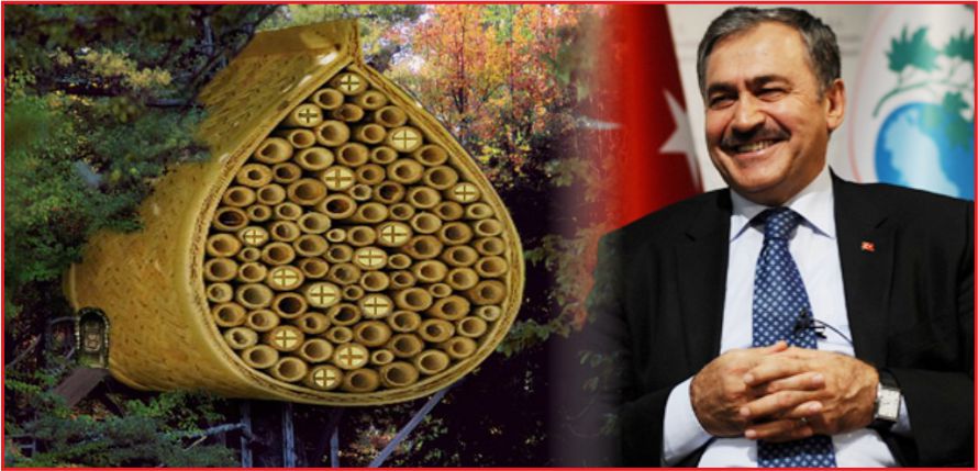 BAL ORMANLARI GELİYOR !