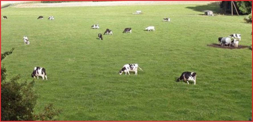 MERALAR KENTSEL DÖNÜŞÜME AÇILIYOR