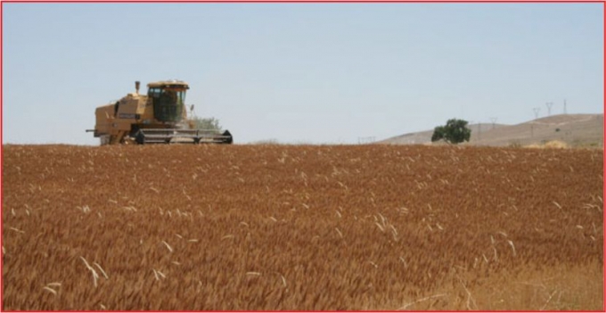 TARIMA 10 YILDA 50 MİLYAR TL KARŞILIKSIZ DESTEK