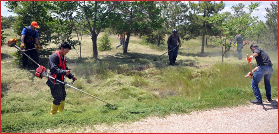 HARİKA PİKNİK ALANI!