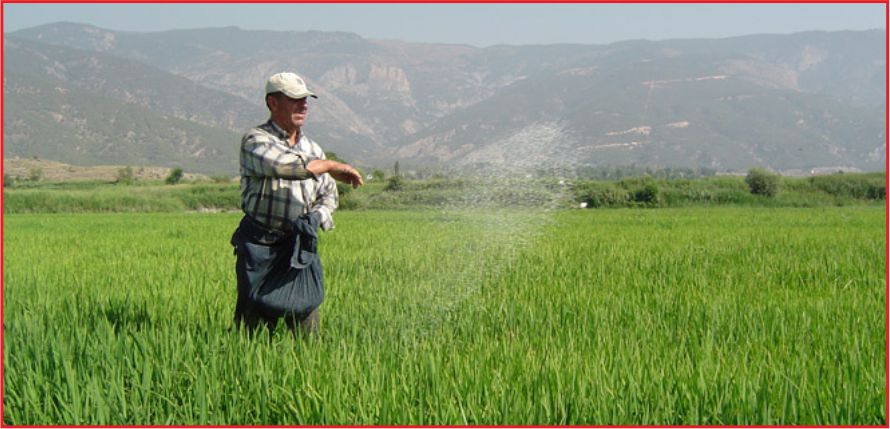 ÇİFTÇİYE 356 MİLYON LİRALIK DESTEK