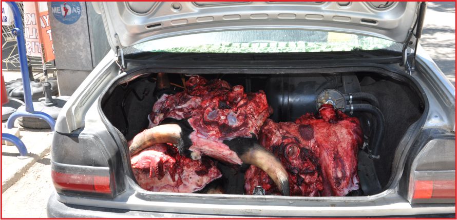 “SAĞLIĞIMIZ TEHDİT ALTINDA