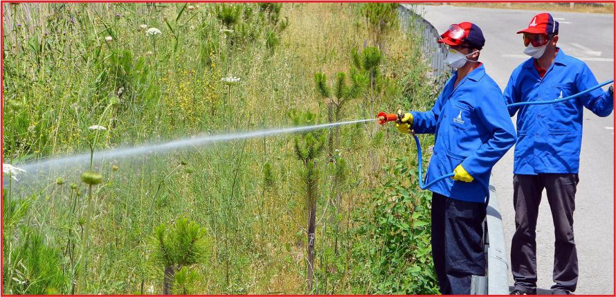 KİMYASAL İLAÇLAMAYA DİKKAT