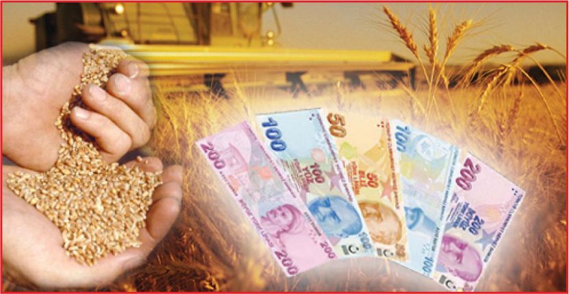 TARIM DESTEKLEMELERİNE YOĞUN İLGİ