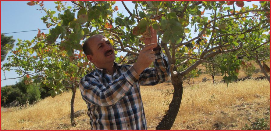 “NAR’DA MARKA OLURUZ”