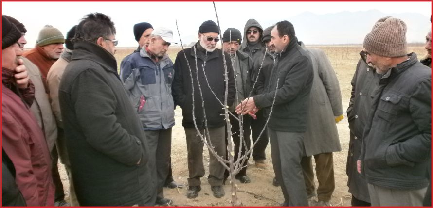 MEYVE YETİŞTİRİCİLİĞİ VE BUDAMA  EĞİTİMİ