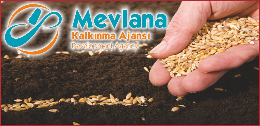 KARAMAN TOHUM ÜRETİMİNDE İLK SIRADA