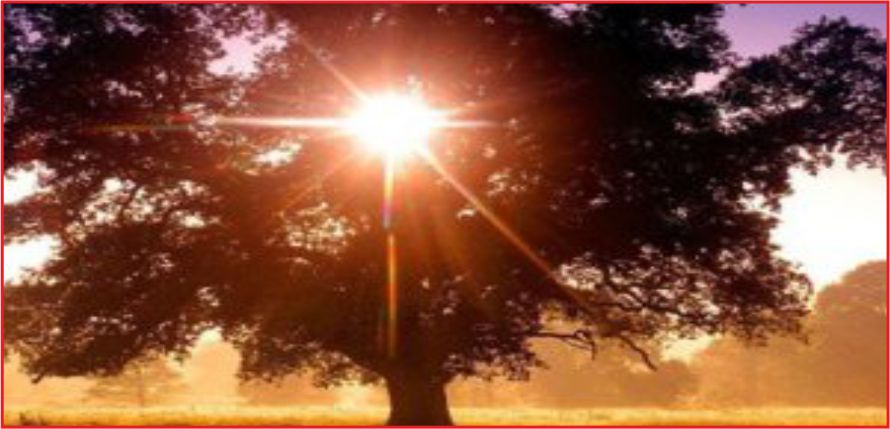 İLK CEMRE BUGÜN  HAVAYA DÜŞÜYOR