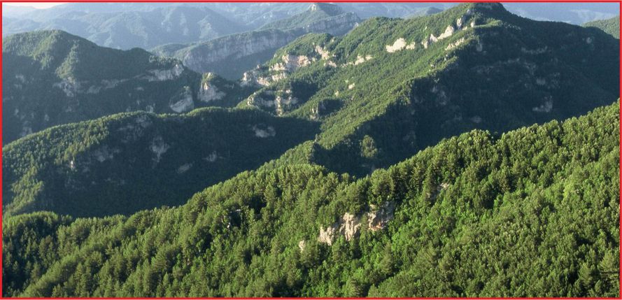 ÜLKEMİZ ORMANLARINDA KADASTRO ÇALIŞMALARINDA SONA GELİNDİ