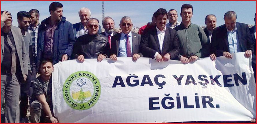 KAZIM KARABEKİRDE AĞAÇ SEFERBERLİĞİ