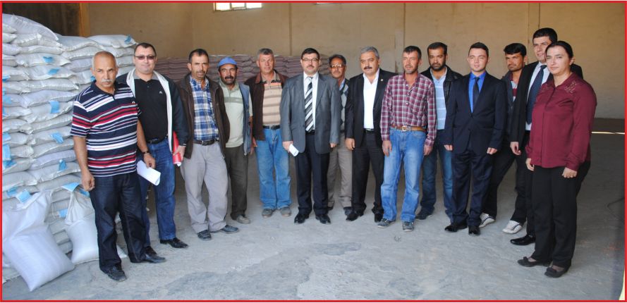 MACAR FİĞİ TOHUMU DAĞITILDI