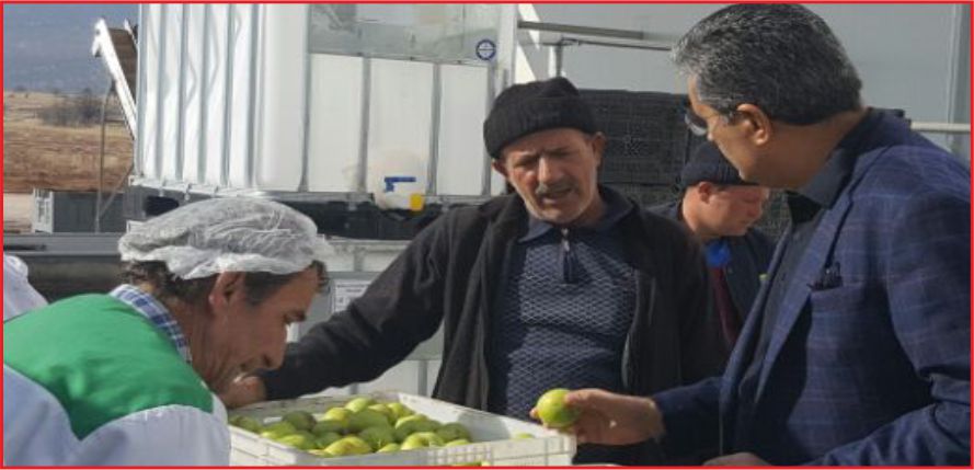 “ELMA ÜRETİCİSİ DIŞ PAZARLARDAN PAY ALACAK”