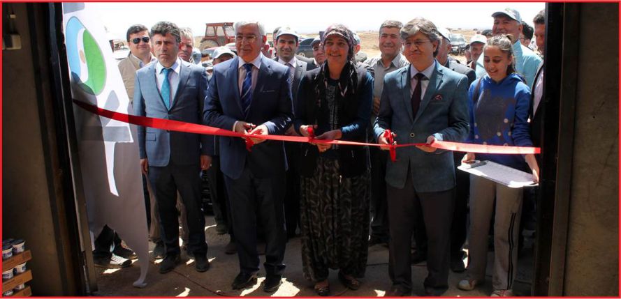 AĞILLAR TESLİM EDİLİYOR