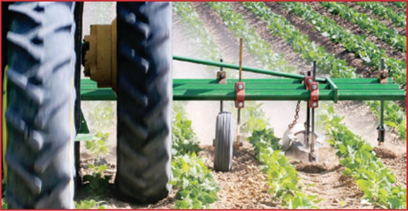 TARIM ÜRÜNÜ PARA ETMEDİ