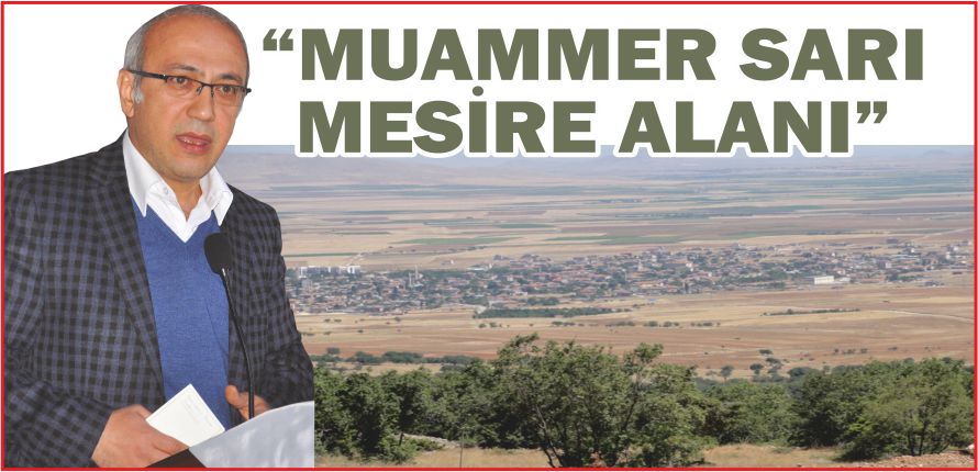 “MUAMMER SARI MESİRE ALANI”