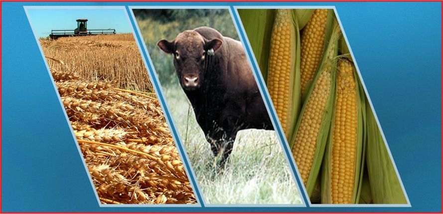 “VERGİ İNDİRİMİ ÜRETİCİYİ ETKİLEYECEK”