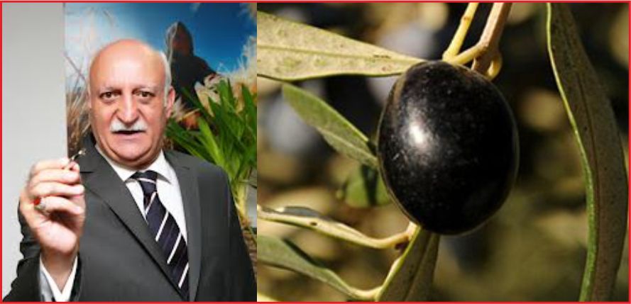 SOFRALIK ZEYTİNE DE PRİM VERİLMELİ\&#039;