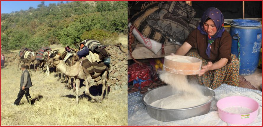 “ÖZGÜR ÇOCUKLARI BASKI ALTINA ALMAMALIYIZ”