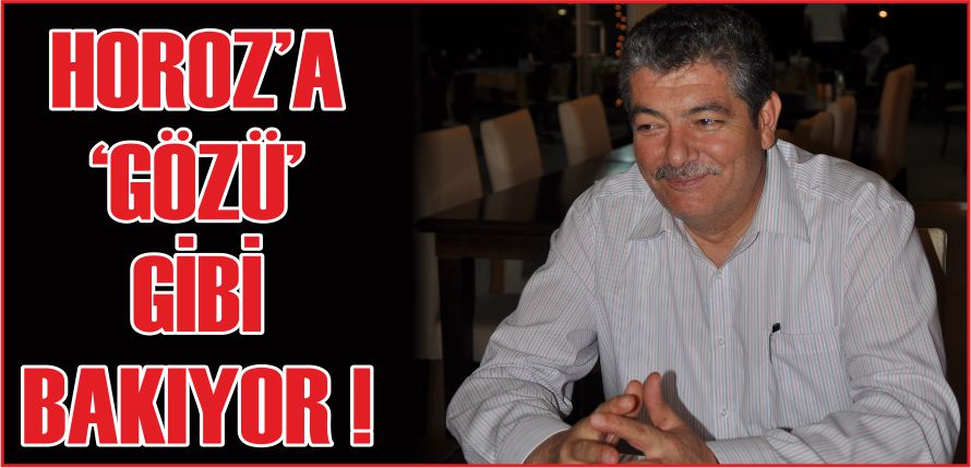 HOROZ’A ‘GÖZÜ ‘ GİBİ BAKIYOR !