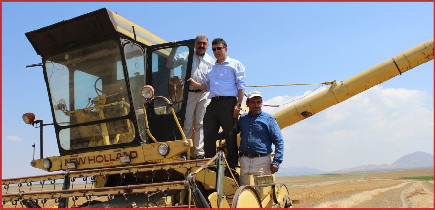 BİÇERDÖVERLE HASATTA TARLA KONTROLLERİ