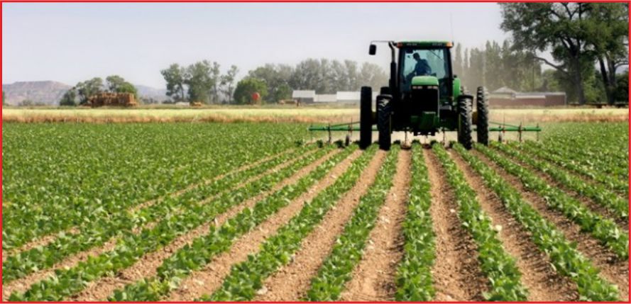 TARIMDA KREDİ LİMİTLERİ YÜKSELTİLDİ