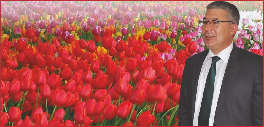 “LALE ŞEHRİ KARAMAN”