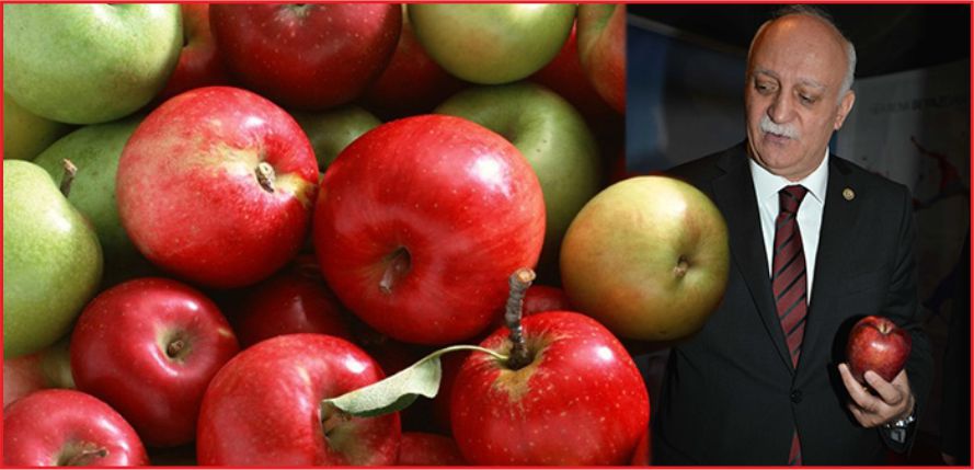 “ELMADA SORUN BİTMİYOR”