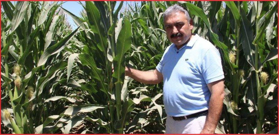 MISIRDA ‘RANDEVU’ VURGUNU MU ?